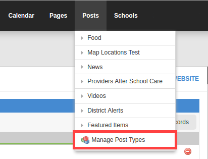 Manage Post Types Link